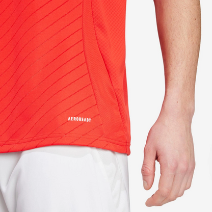 Benfica Jersey 2024/25